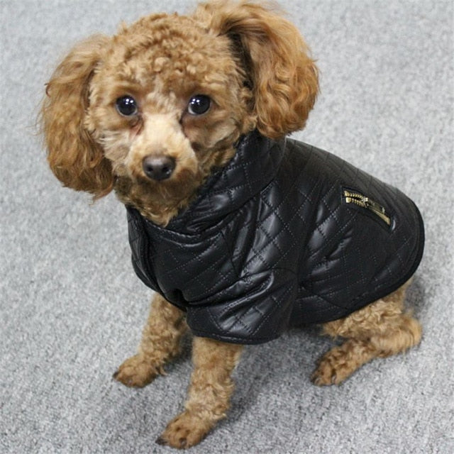 2017 New Styles Trade Leather Pet Clothes Winter Detachable Two-Piece Warm Winter Coat And Jacket Leather Apparel Dog Clothes