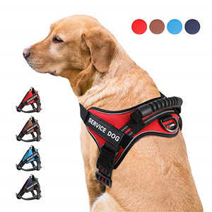 Pet Leash Nylon Heavy Duty Dog Pet Harness Collar Adjustable Padded Soft Dog Harnesses Vest for Small Medium Large Dogs Supplies