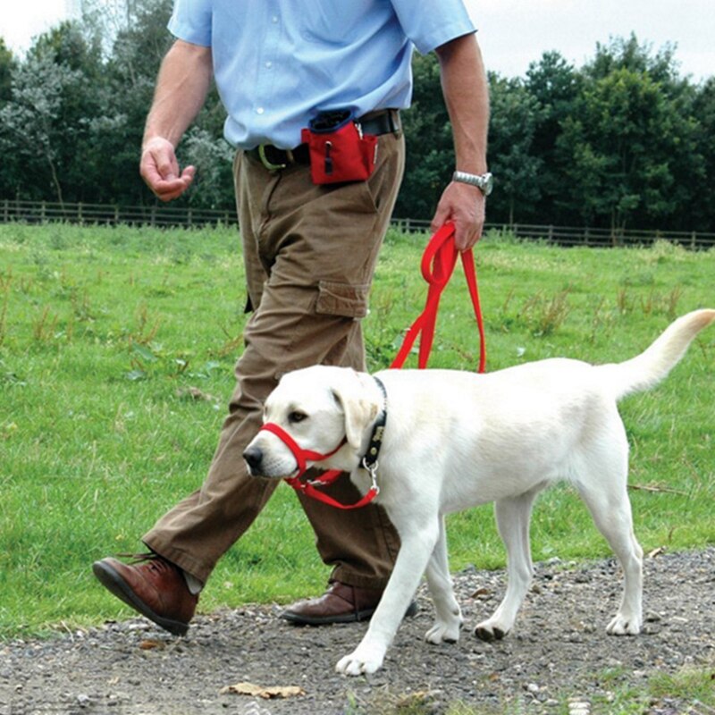 New Arrival  Dog Padded Head Collar Gentle Halter Leash Leader Stop Pulling Training Muzzles Tools