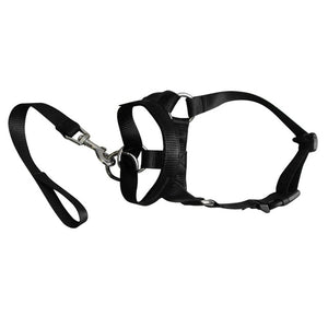 New Arrival  Dog Padded Head Collar Gentle Halter Leash Leader Stop Pulling Training Muzzles Tools