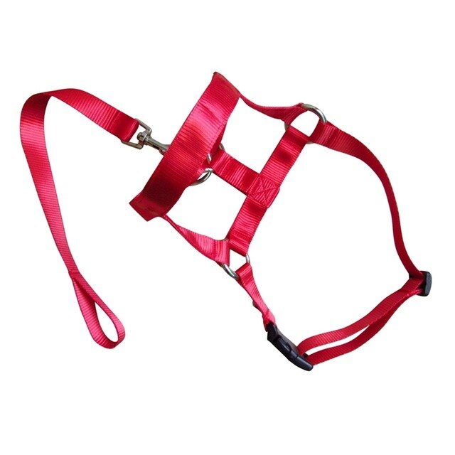 New Arrival  Dog Padded Head Collar Gentle Halter Leash Leader Stop Pulling Training Muzzles Tools