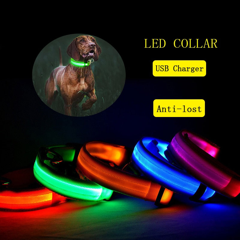 Luminous Dog Collar USB Charging LED Light Flashing Nylon Dog Leash For Puppy Small Medium Large Dog Walking Safe Pet Supplies