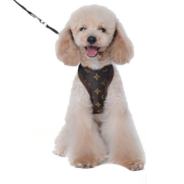 Puppy Dog Cat Harness Leash Pet Adjustable Vest Walking Lead Leash for Puppy Polyester Mesh Harness Small Medium Dog