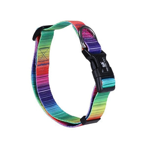 Multiple Styles Dog Collar Adjustable Colorful printing Pattern Designer Inspired flexible Pet Collar Leash Dog Supplies