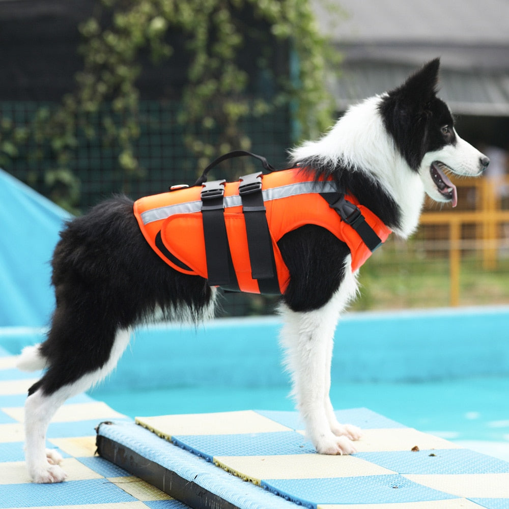 Pet Dog Life Jacket Safety Clothes Life Vest Swimming Clothes  Swimwear for small big dog Husky french bulldog dog accessories