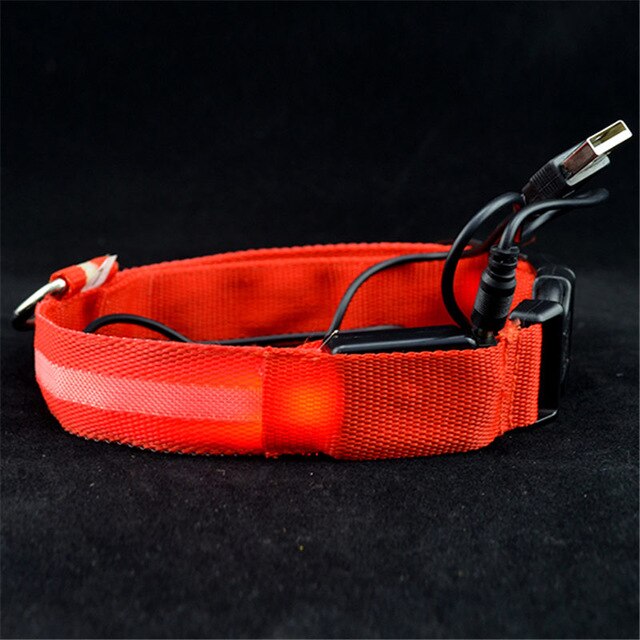 Safety Adjustable Pets Dogs LED Flashing Night Light Nylon Collar USB Charging S-XL