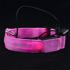 Safety Adjustable Pets Dogs LED Flashing Night Light Nylon Collar USB Charging S-XL