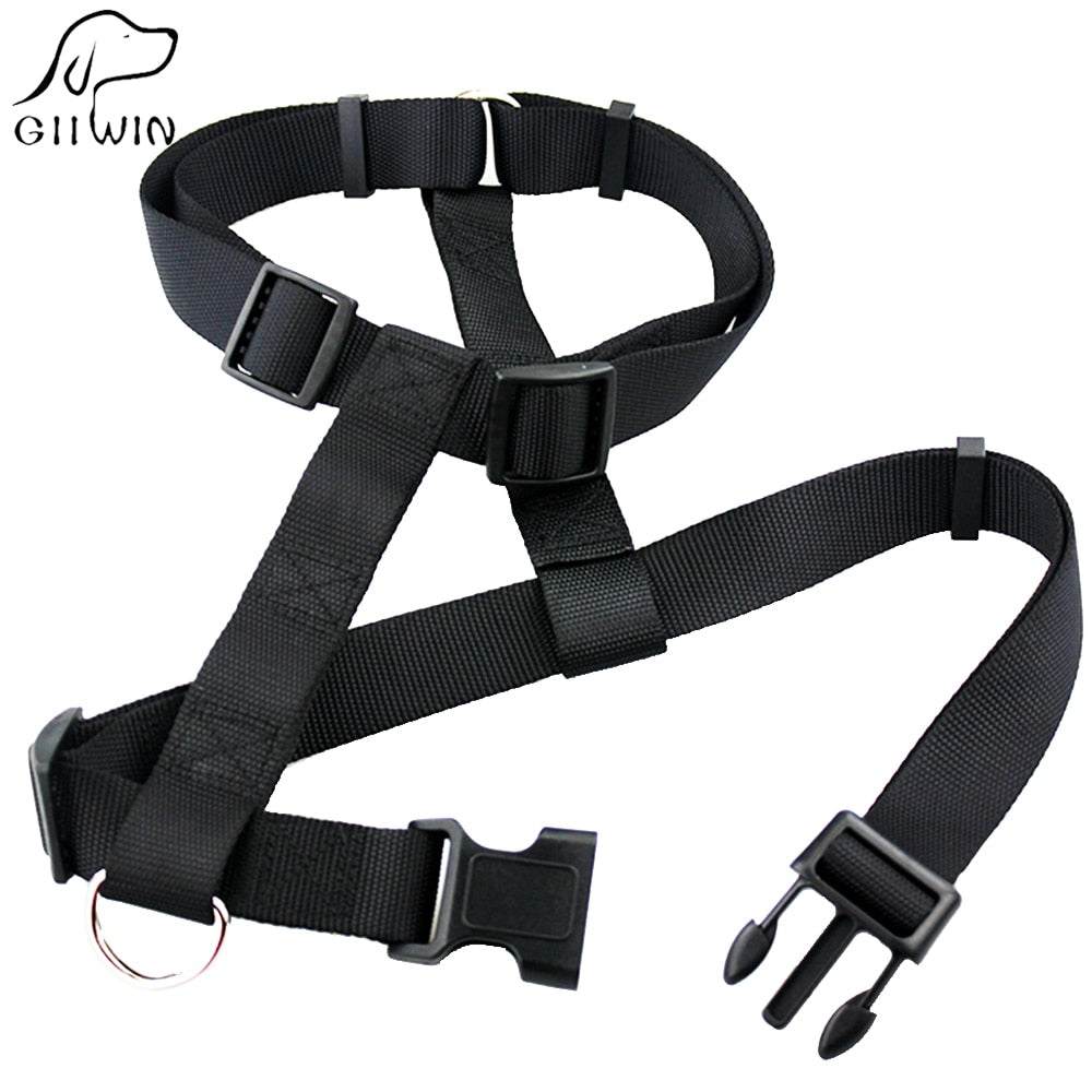 Dog Harnesses for Large and Small Dogs Pet Accessories Harnesses and Leash Supplies for Bicycle Dog Harness for Training JW0037