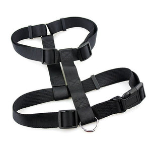 Dog Harnesses for Large and Small Dogs Pet Accessories Harnesses and Leash Supplies for Bicycle Dog Harness for Training JW0037