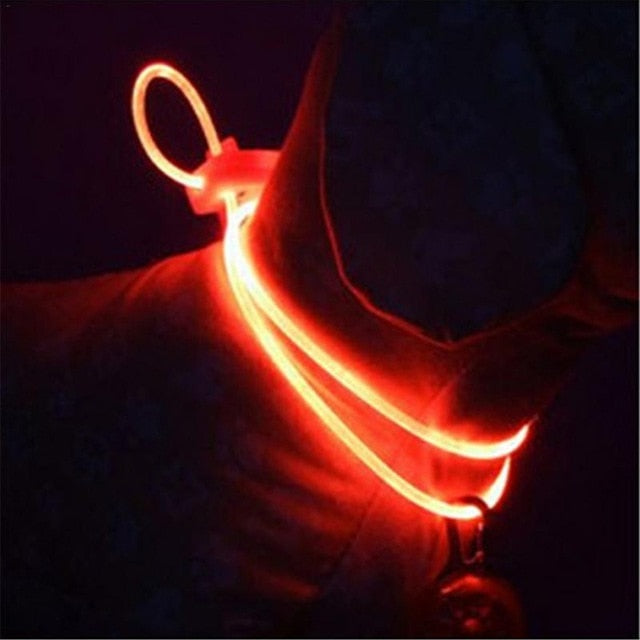 LED Pet Collar Luminous Adjustable Pet Safety Collars Water Resistant Flashing Light Dog Leash Necklace Collar Pet Dog Supplies