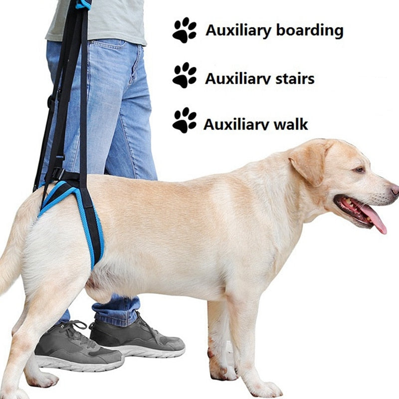 2019 New Adjustable Dog Lift Harness for Back Legs Pet Support Sling Help Weak Legs Stand Up Pet Dogs Aid Assist Tool